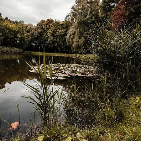 Apartamento Deluxe Arcon Siemianowice Śląskie