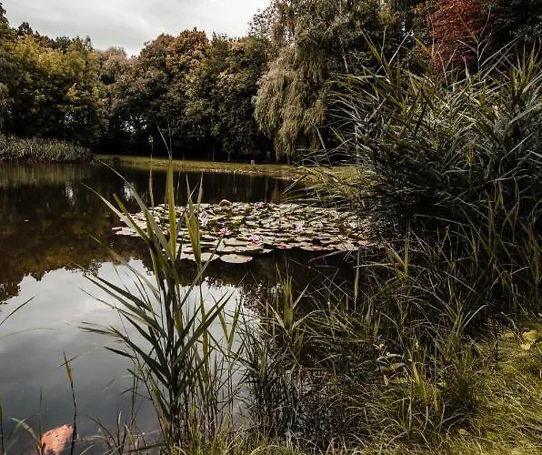 Apartmán Deluxe Arcon Siemianowice Śląskie