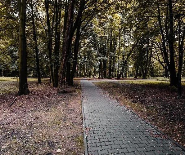 Apartmán Deluxe Arcon *