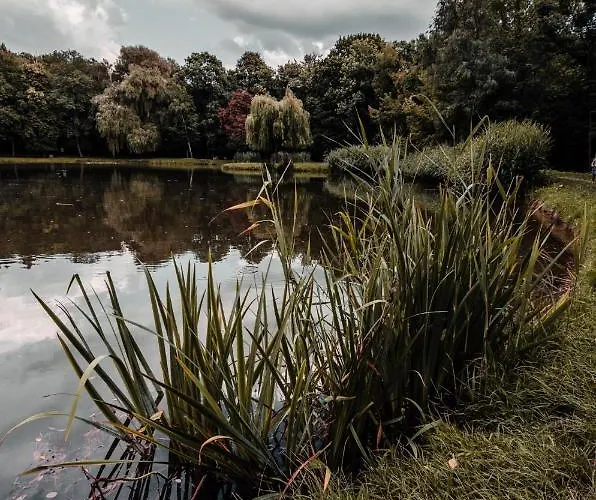 Deluxe Arcon Apartamento Siemianowice Śląskie